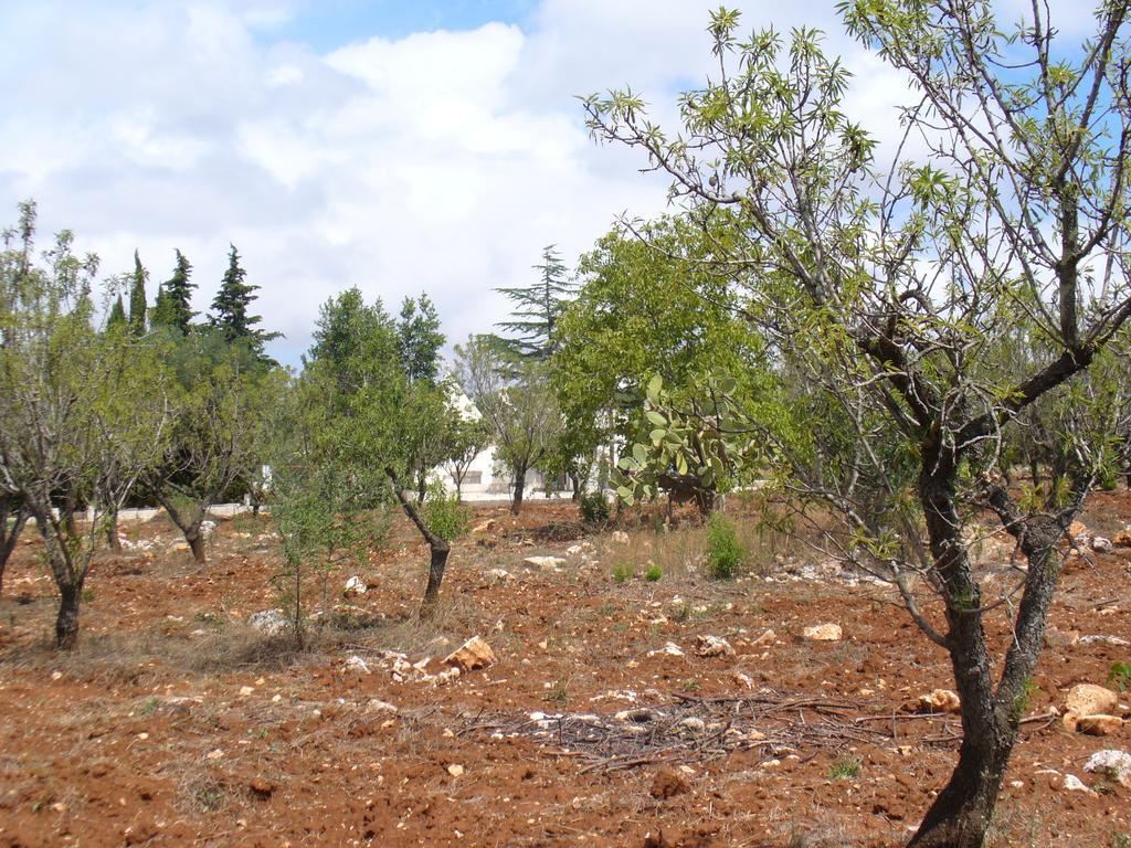 Trullo Riccardo Ostuni Quarto foto